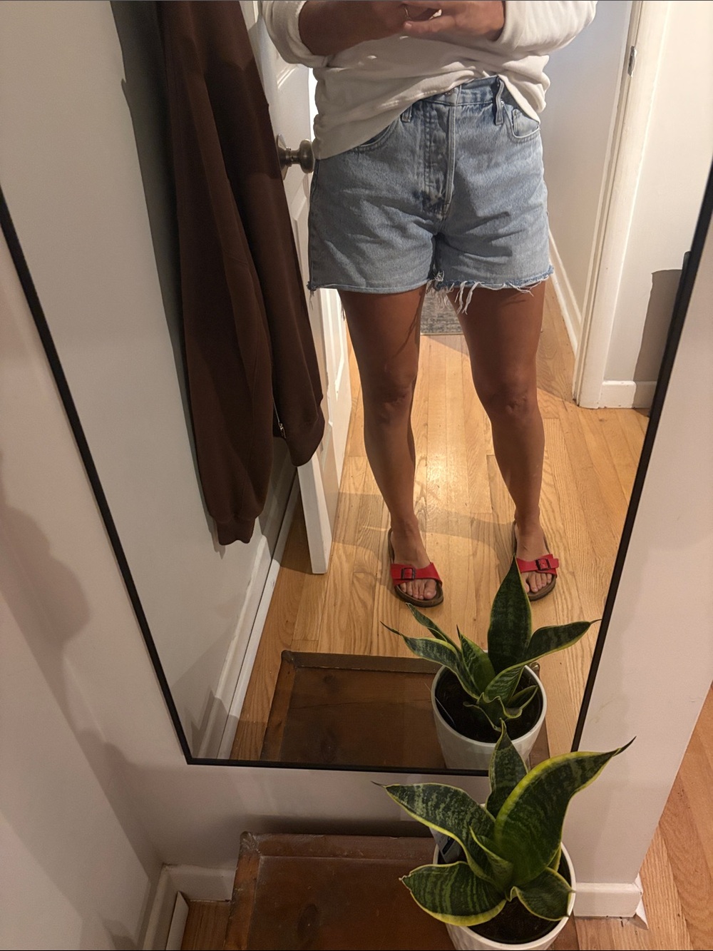 Z Supply Light Blue High-Rise Denim Shorts with Raw Frayed Hem